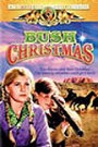 Bush Christmas